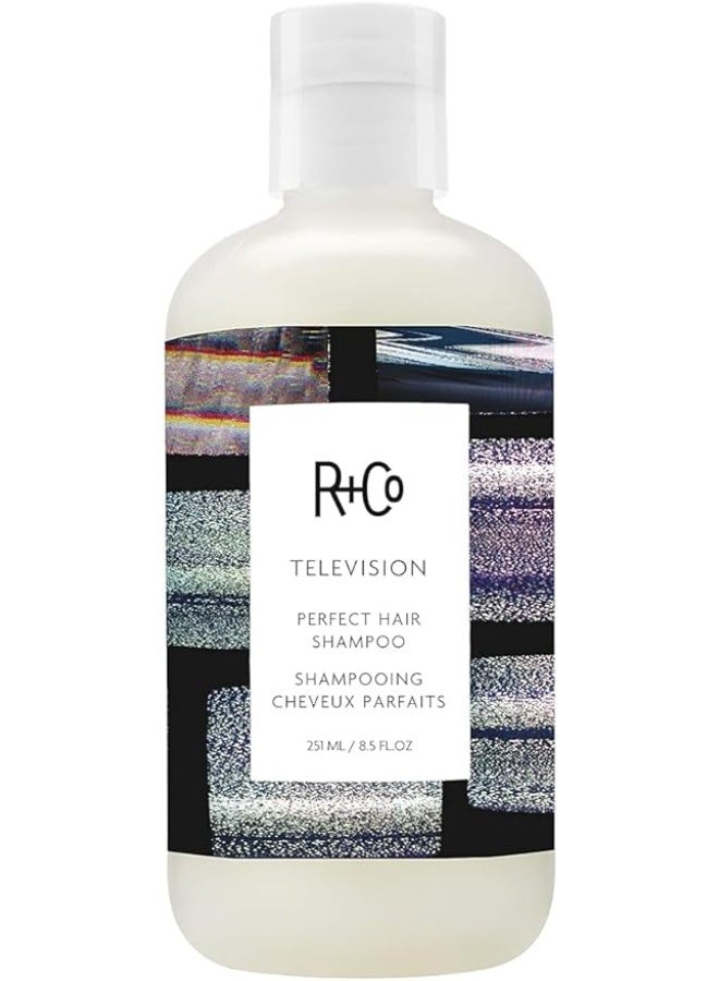 شامبو آر+كو التلفزيوني المثالي للشعر 251 مل